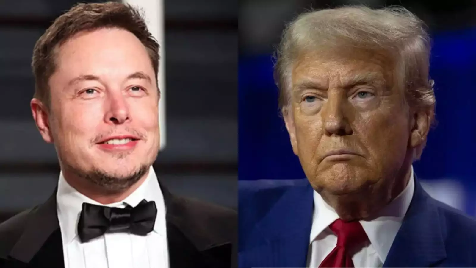 Elon Musk Fires Back at John Bolton Over Trump's Latest Cabinet Choices: What This Means for U.S. Politics