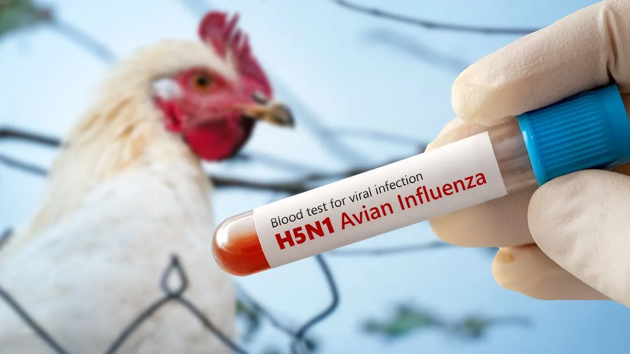 Moderna Lands $590M to Fight Bird Flu: What It Means for Pandemic Preparedness and Your Health