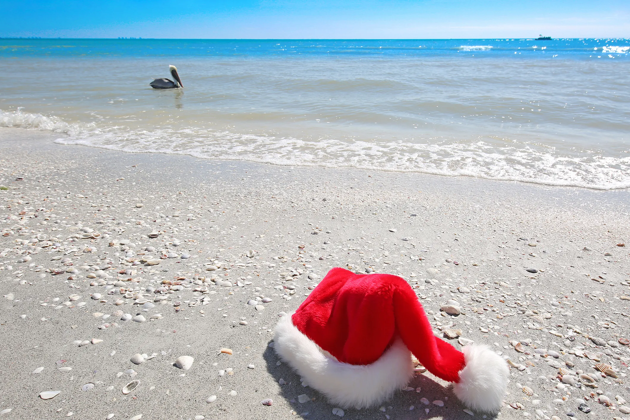 Snow Day Surprise: How Florida's Beach Towns Turned into Winter Wonderlands Overnight