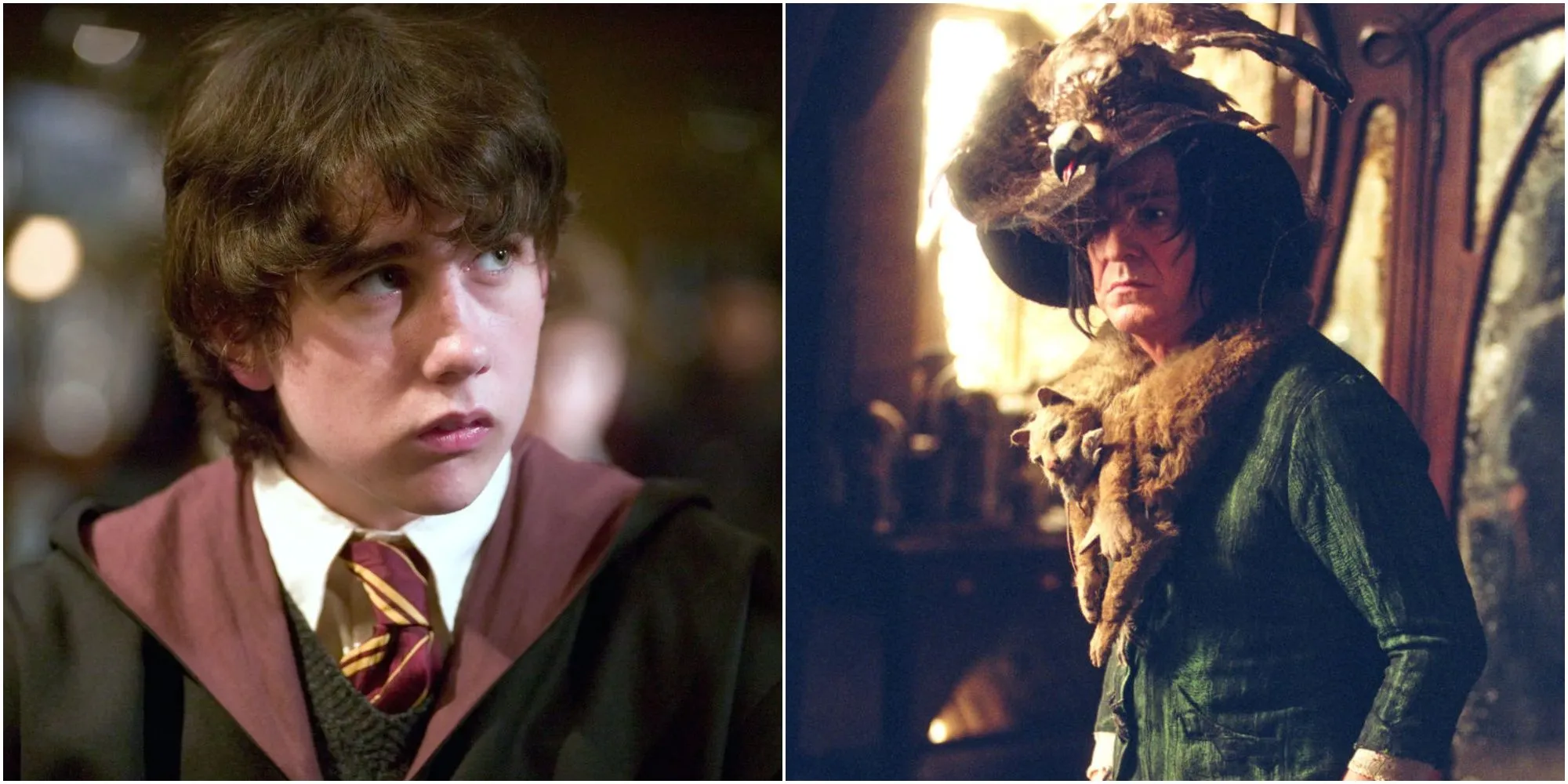 Unveiling the Mystery: Why Did Severus Snape Really Dislike Neville Longbottom in Harry Potter?