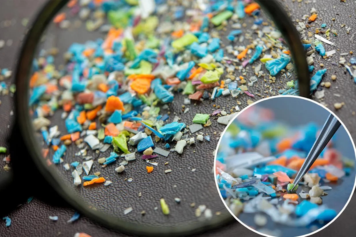 Experts Reveal One Simple Change to Cut Microplastics in Your Diet by 90%