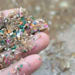 Experts Reveal One Simple Change to Cut Microplastics in Your Diet by 90%