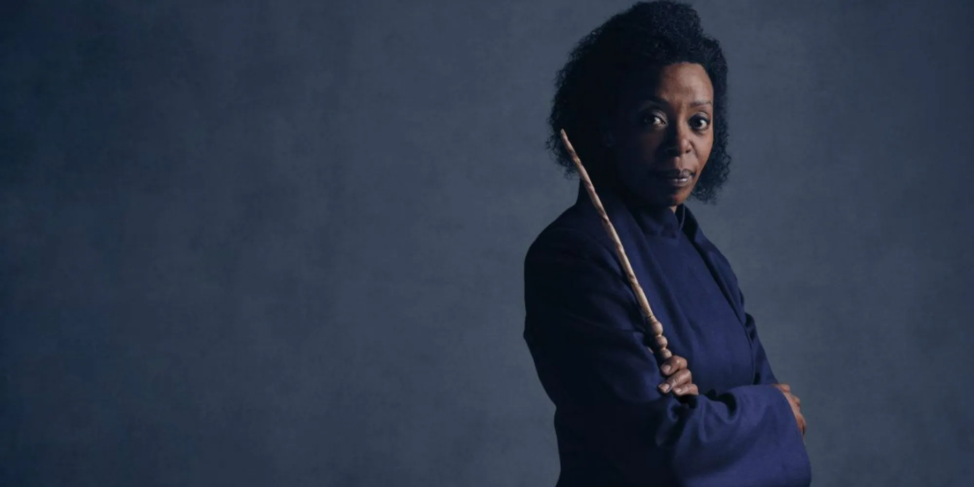 Why Casting a Black Hermione in the New Harry Potter Series Could Spark Major Backlash