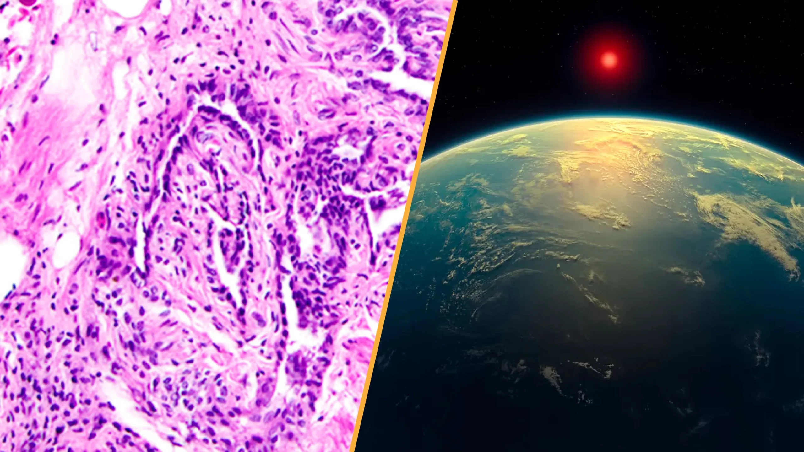 Read more about the article Scientists Found A Potential Sign Of Life On A Distant Planet – An Astronomer Explains Why Many Are Still Skeptical